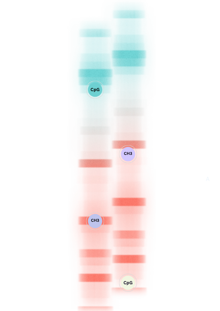 Lami OS Methylation Mapping Engine