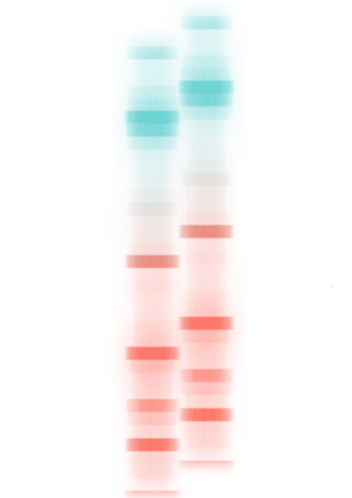 Lami OS Genomic Pipeline